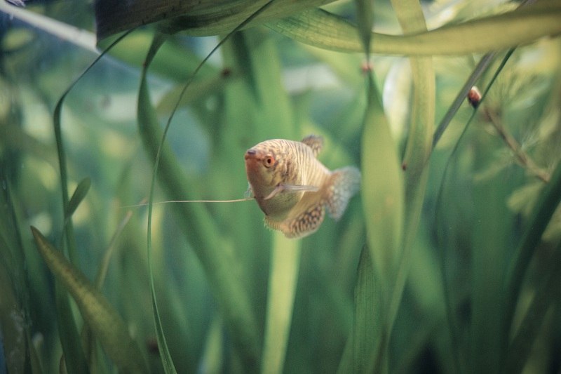 Константин Порошкин | Уфа