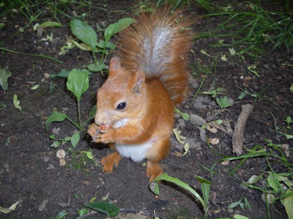 №1, Светка Полякова №1, Светка Полякова