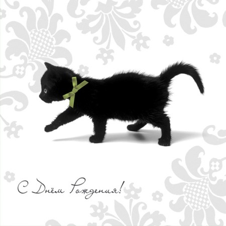 №22, Svetlana Stern, 38 лет, Москва №22, Svetlana Stern, 38 лет, Москва