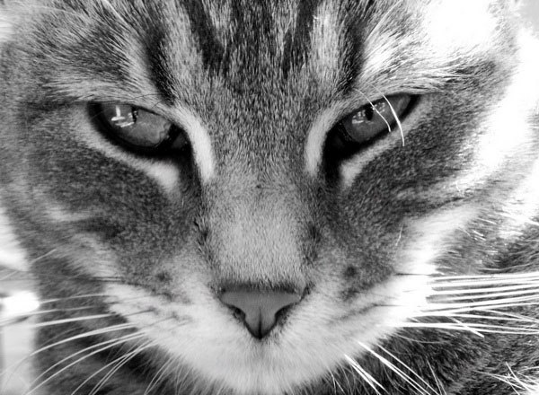 Марат Саляхутдинов | Вятские Поляны