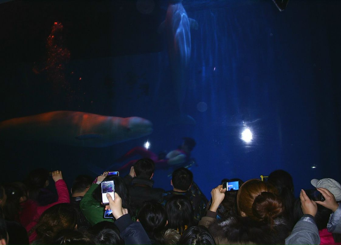 Сергей Пономарев ˙·٠✈ | Новосибирск