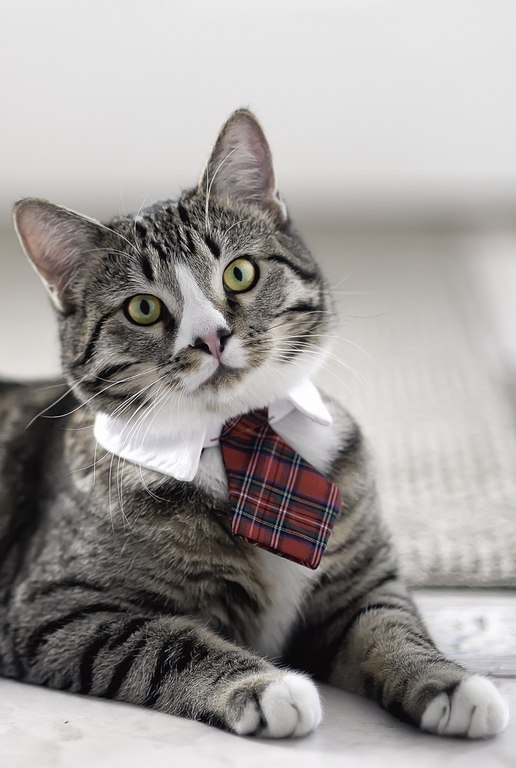 Константин Фефилов --элЪф-- | Ижевск