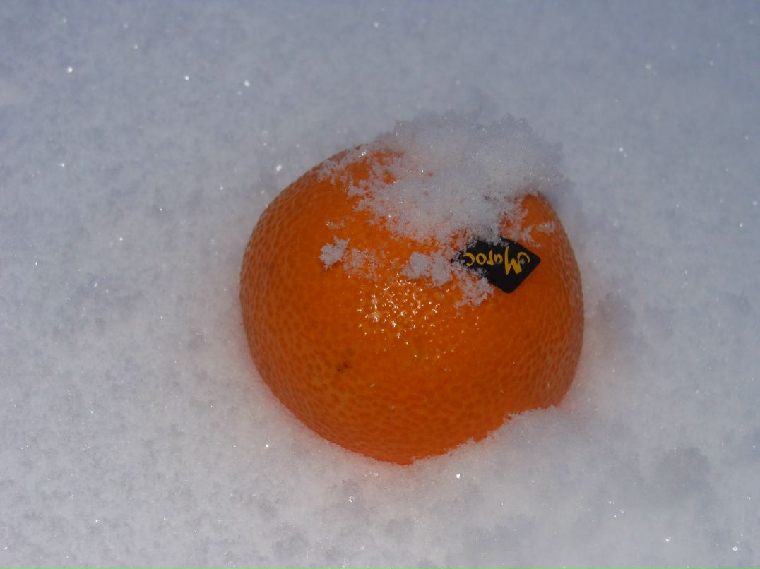 Олеся Жильцова | Рязань