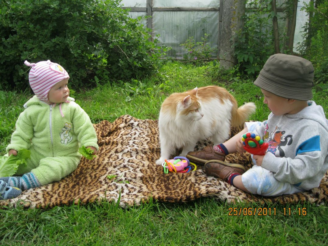 Алексей Кузьмин ALEX666 | Великий Новгород