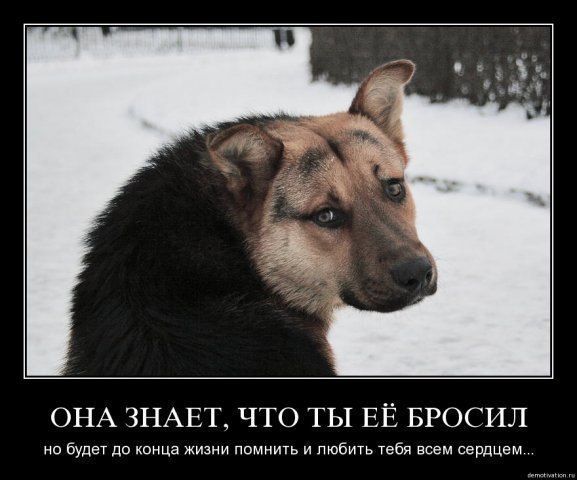 Рафаил Муллагалиев | 