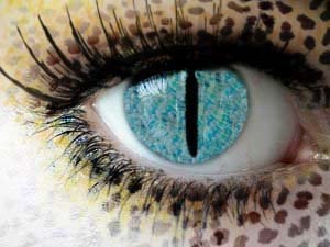 Анна Борисюк | Санкт-Петербург