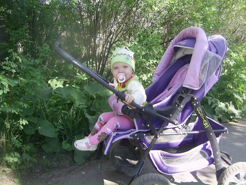 Сергей Костин | Онега