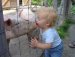 Чомчик Лапкин фотография #32