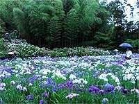 Татьяна Турчина | Урай