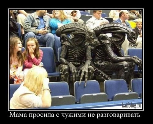 Даниил Минаев | 