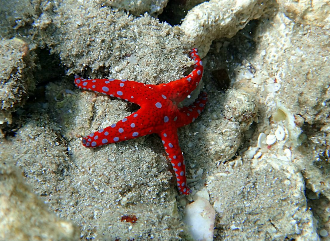 Наталья Денисова | Москва