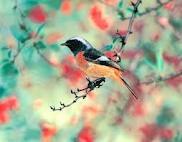 Александра Лихкодухова | Одесса