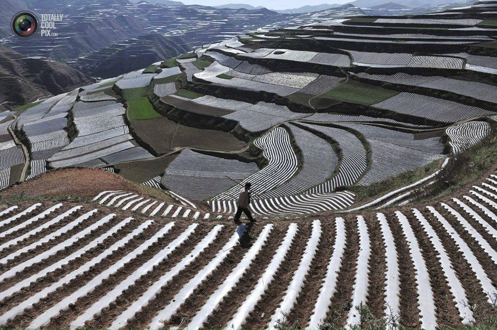 Иван Ширшиблев | Киров