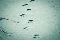 №1, Коська Денисенко, 5.2.1989, 37 лет, Москва, Россия