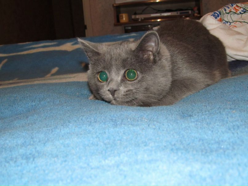 Дмитрий Андреевич | Мелитополь