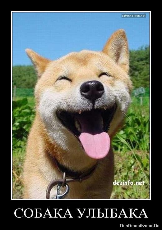 Андрей Лефутуренко | Киев