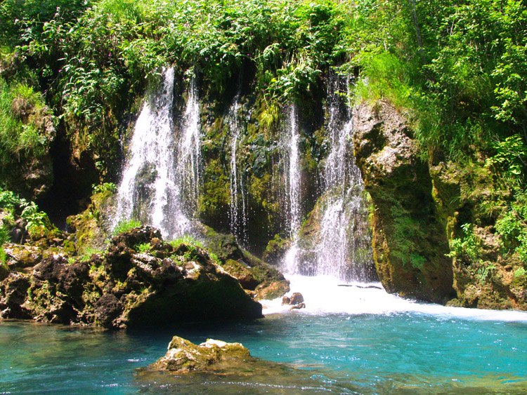 Дмитрий Анатольевич ЛЕВ | Новосибирск