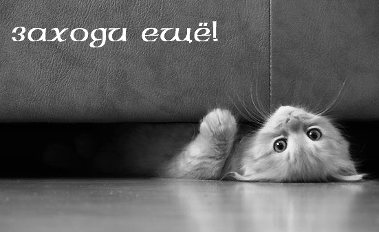 №98, Игорь Ольст, Санкт-Петербург №98, Игорь Ольст, Санкт-Петербург