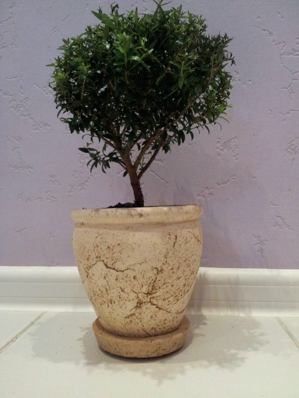 Ирина Ильина | Москва