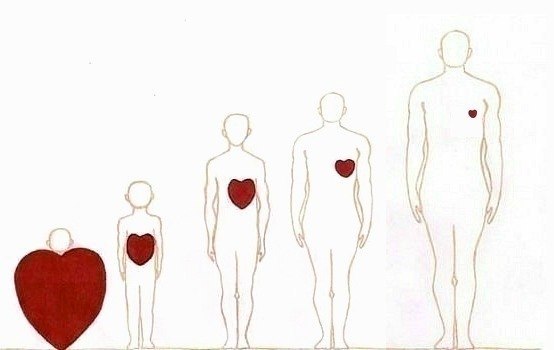 Gio Gio | Москва