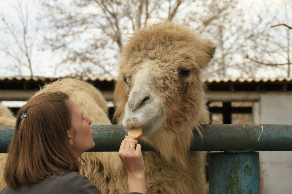 Екатерина Федотова | Томск