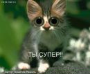 Фотография Илья Чебаненко