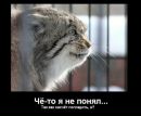 Фотография Степан Горелый