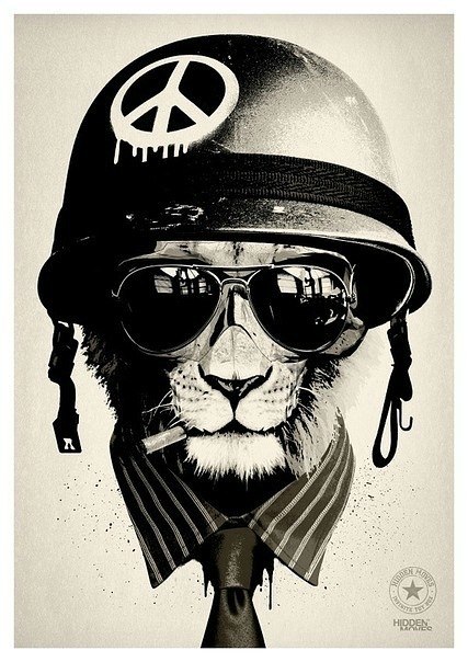 План Махоркин | 