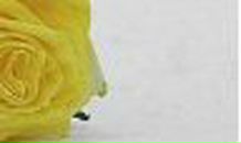 Яна Якушева | Могилёв