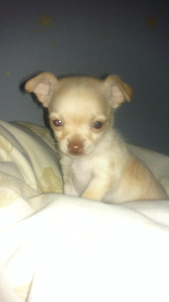 Лариса Першина | Красноярск