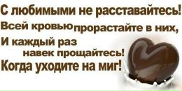 №34 Анна Карагодина : профиль, фото, статус - ВКонтакте