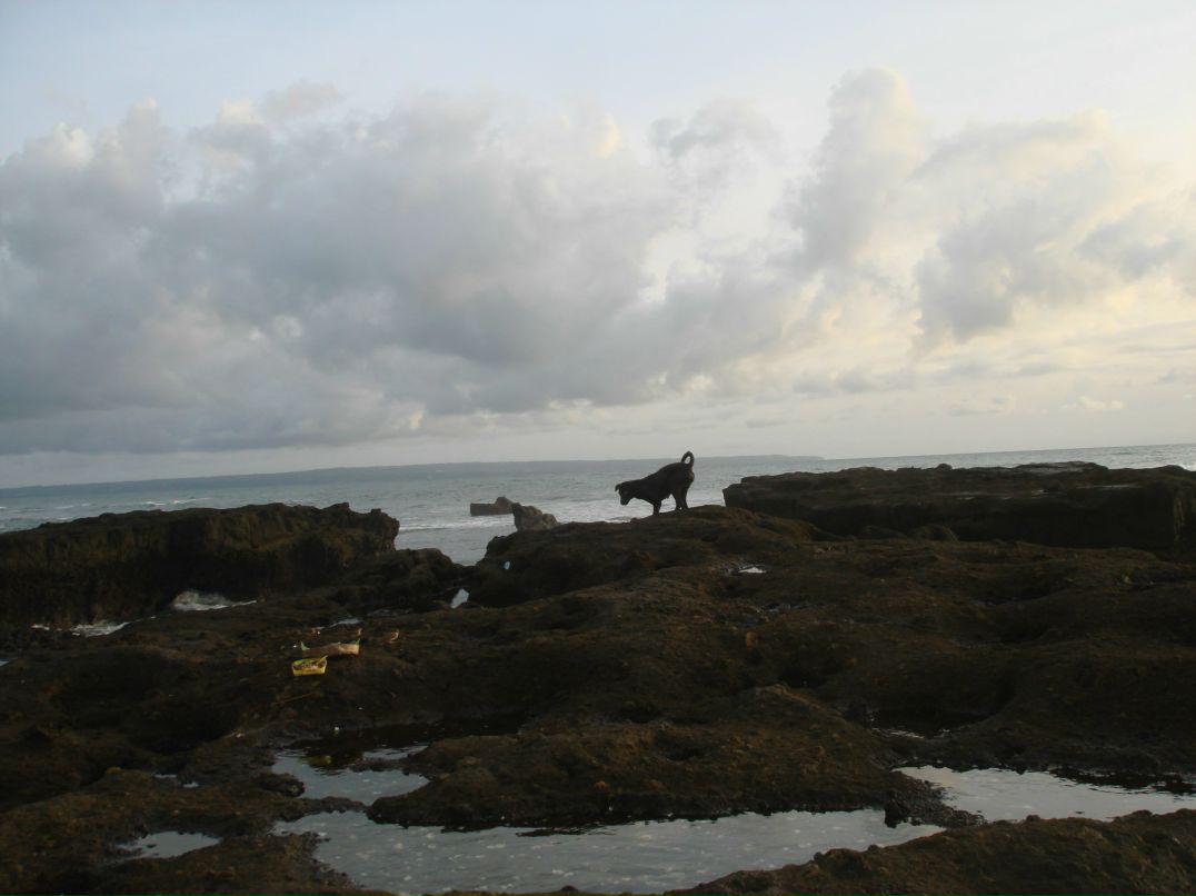 Виктор Жариков | Санкт-Петербург