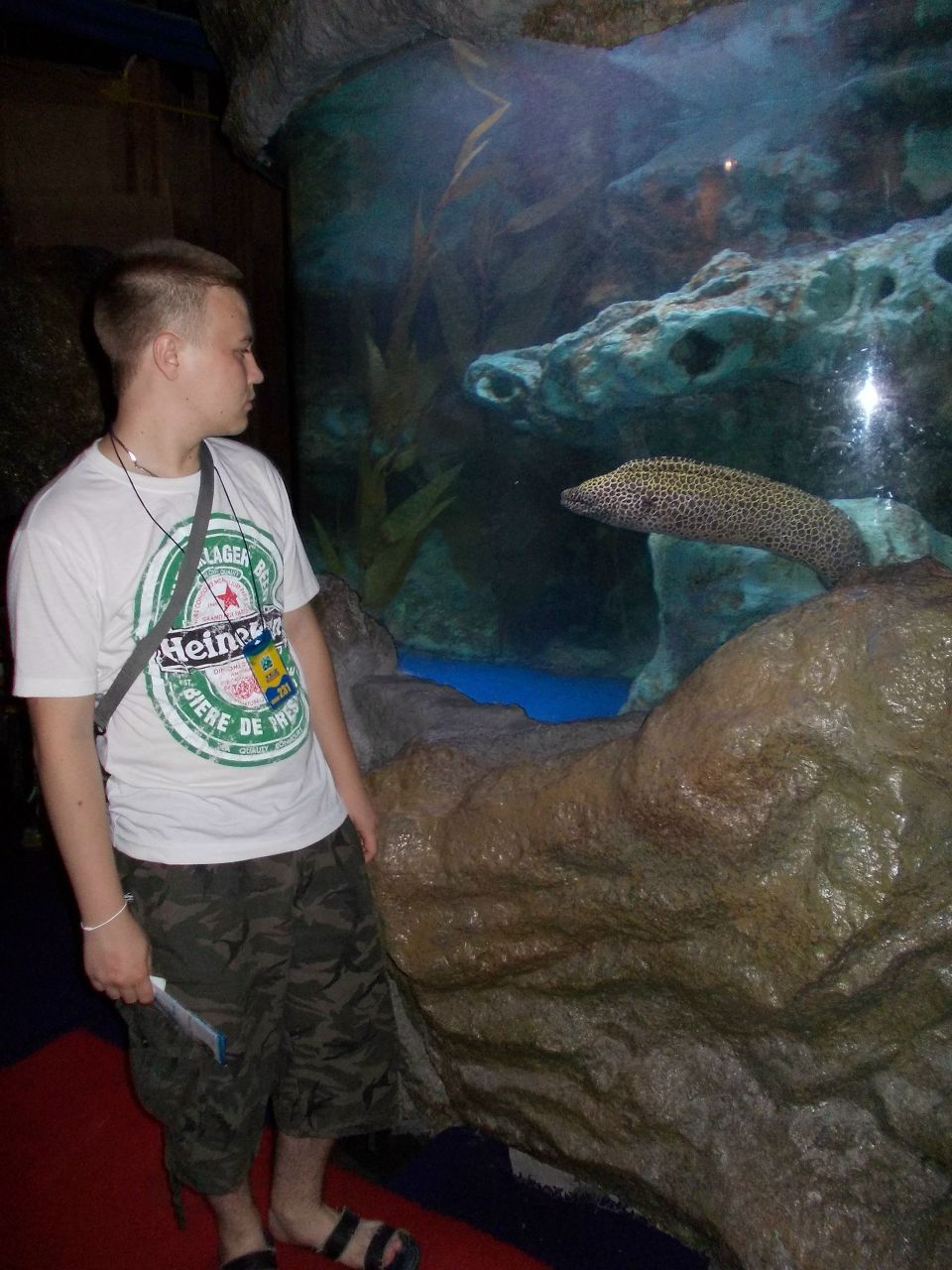 Дмитрий Куманейкин | Ульяновск