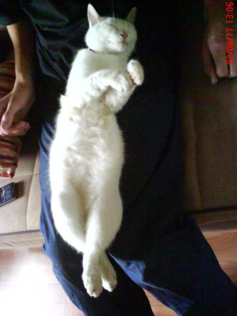 Ольга Старостина | Нижний Новгород