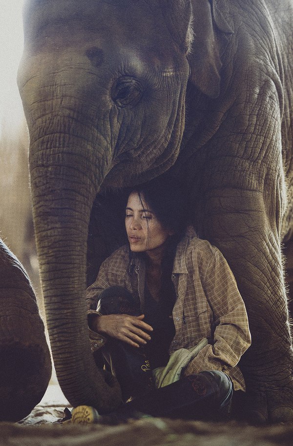 Алёна Морган | 