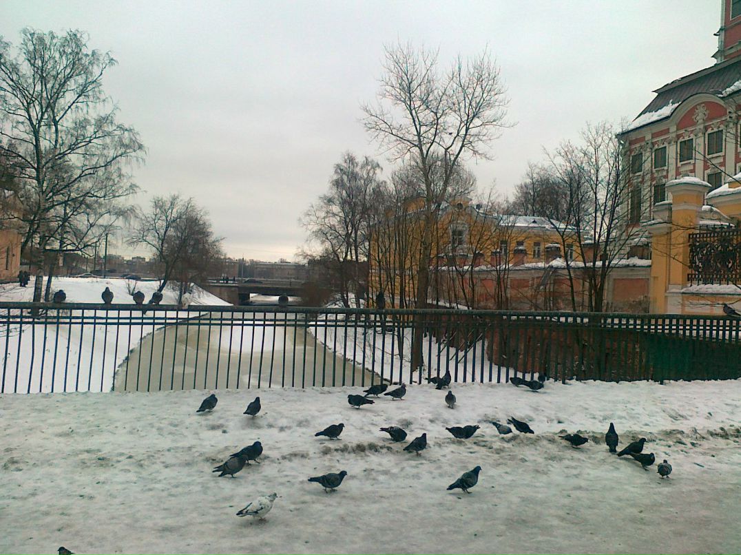 Александр Купаковский | Санкт-Петербург