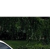 Фотография Степан Петров
