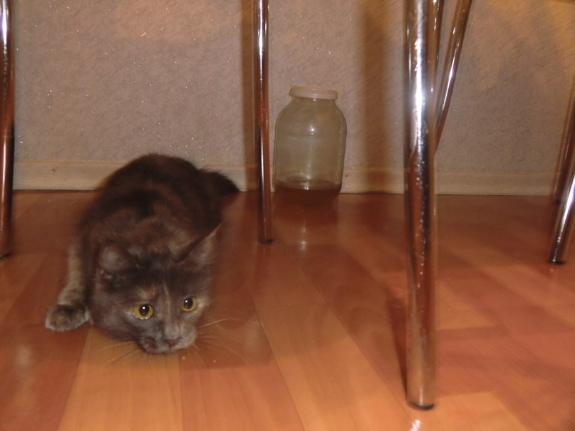 Рафаэль Хасанов | Уфа