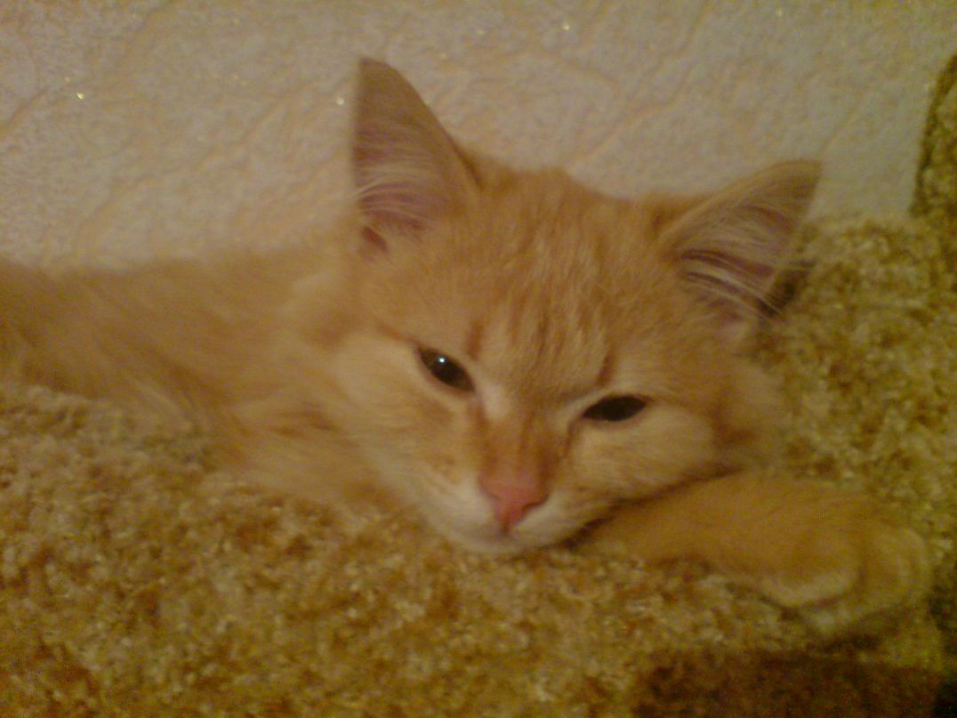 Наталья Евдокимова | 