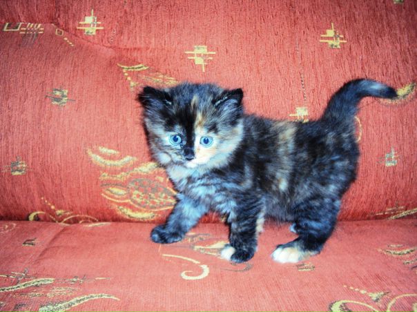 №170, Ксения Хакимова, Казань №170, Ксения Хакимова, Казань