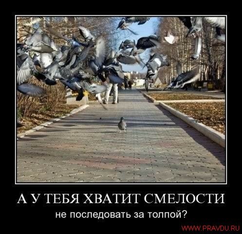 Andrey Martinov | Тула