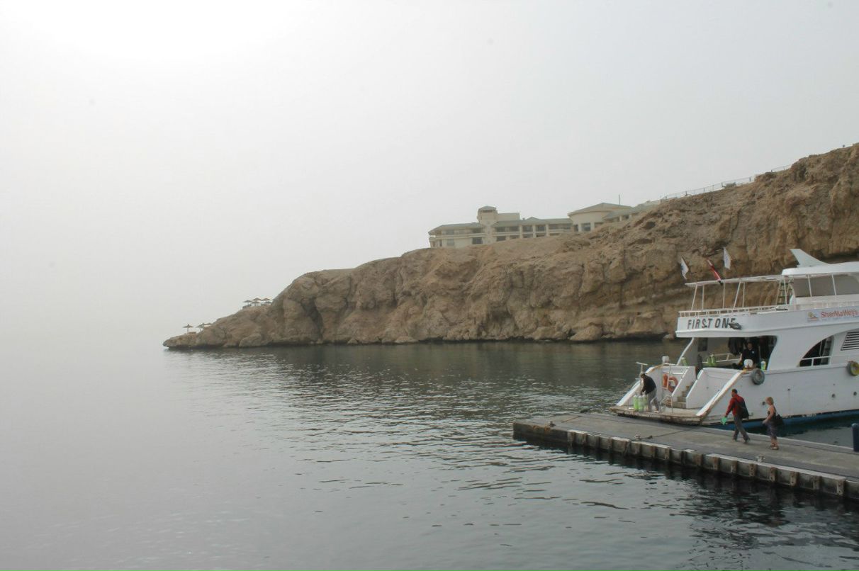 Андрей Комолов | Электросталь