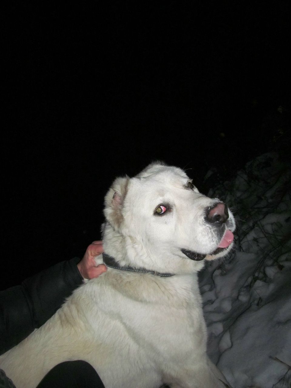 Александр Москаленко | Кременная