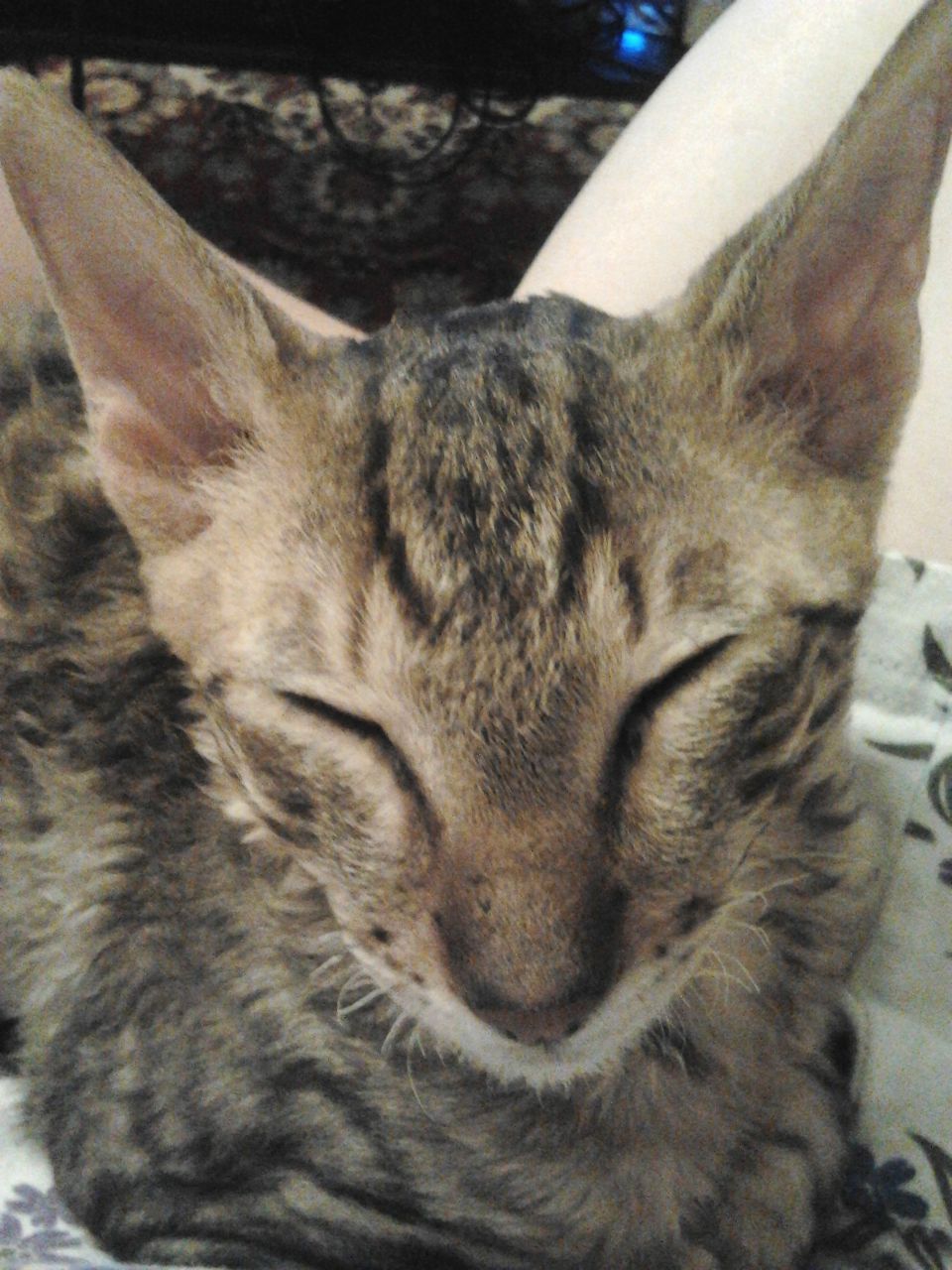 Настюшка Черкасеныш | Москва