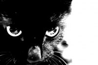 Ванчик Танчик вАланчиК | Полтава