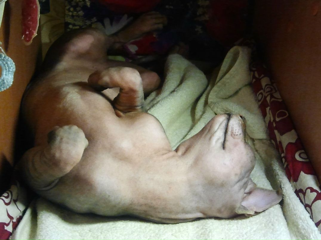 Пуся Ваткин | Москва