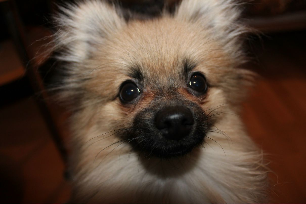 Алёна Барышева | Новосибирск