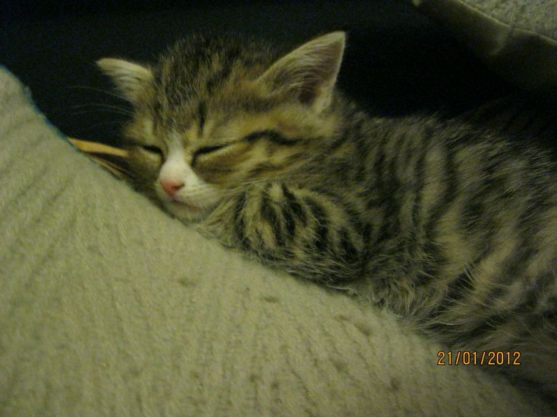 Ваня Капитонов КАПИТАН | Санкт-Петербург