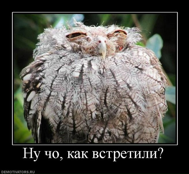 №25, Влад Аминев, 32 года, Томск №25, Влад Аминев, 32 года, Томск