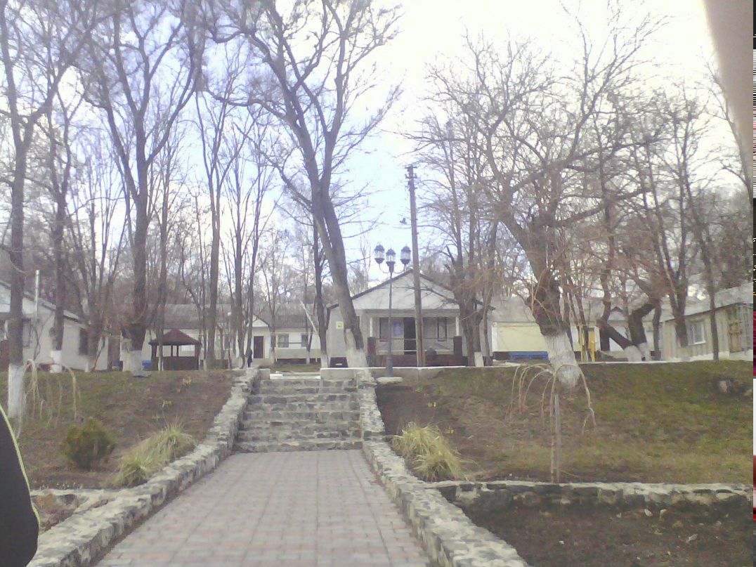 Наталья Саленик | Никополь